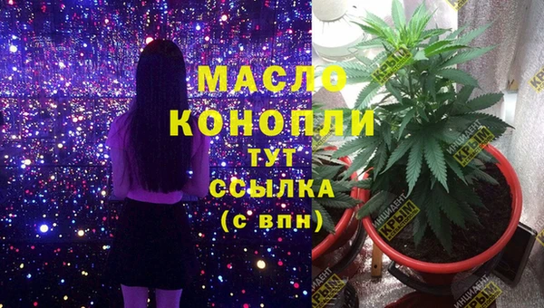 сатива Аркадак