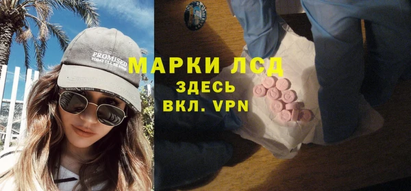 дживик Дубна
