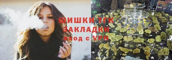 индика Балабаново