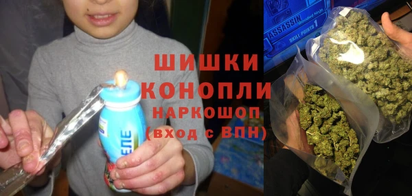 соль ск Арсеньев