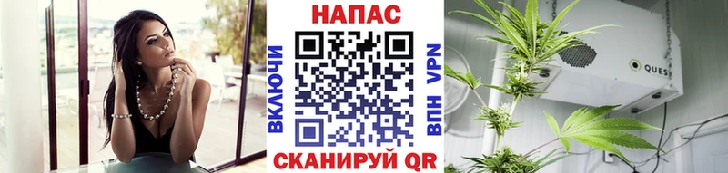 Конопля OG Kush  KRAKEN tor  мориарти клад  купить  цена  Кукмор 